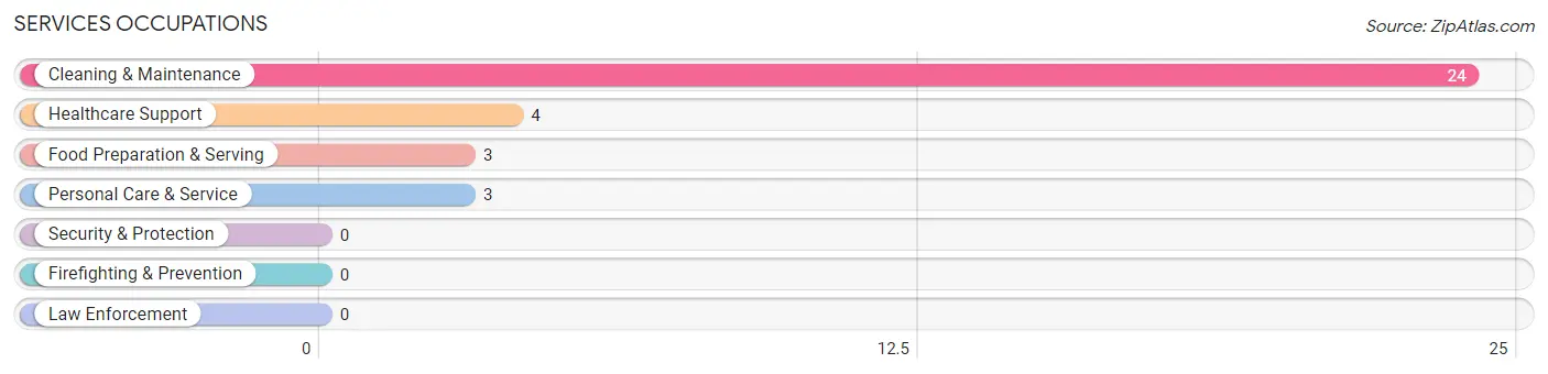 Services Occupations in Sonora