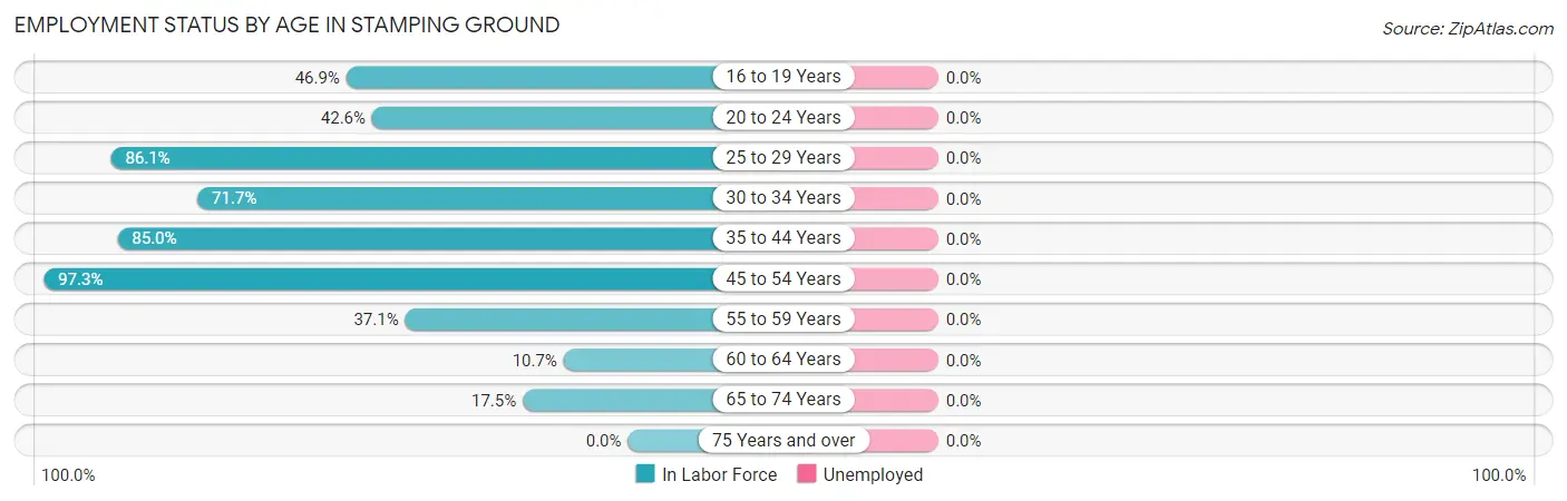 Employment Status by Age in Stamping Ground