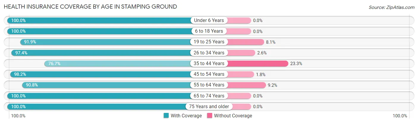 Health Insurance Coverage by Age in Stamping Ground