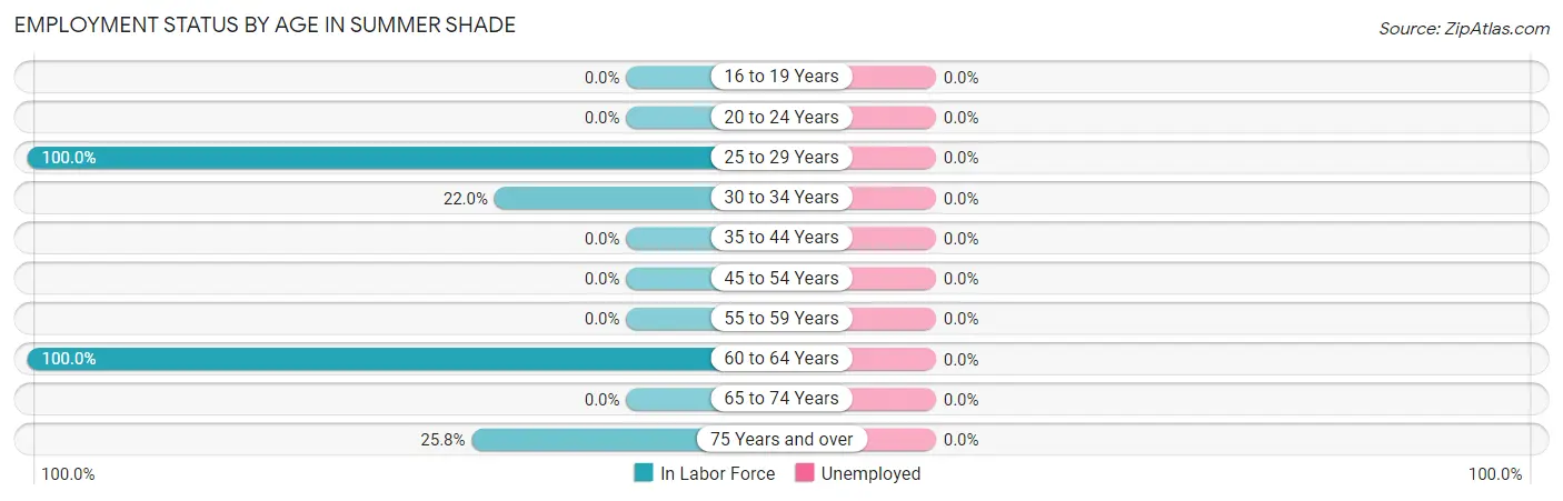 Employment Status by Age in Summer Shade