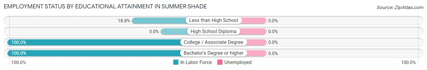Employment Status by Educational Attainment in Summer Shade