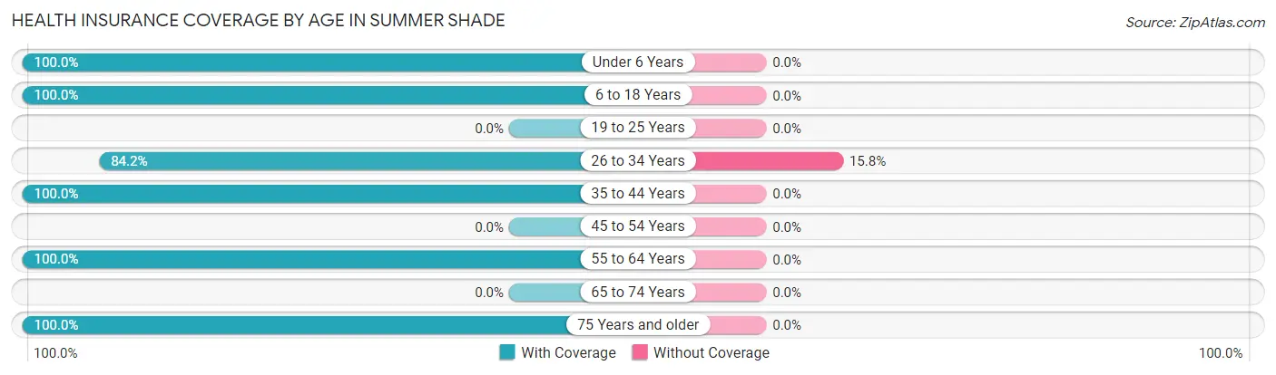 Health Insurance Coverage by Age in Summer Shade