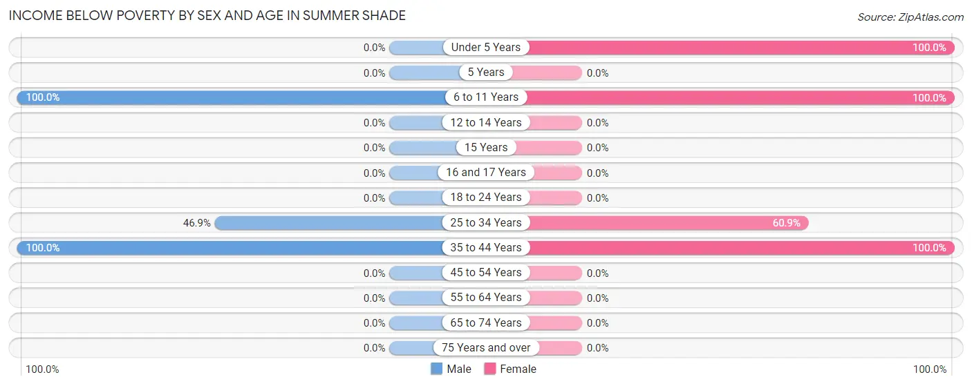 Income Below Poverty by Sex and Age in Summer Shade