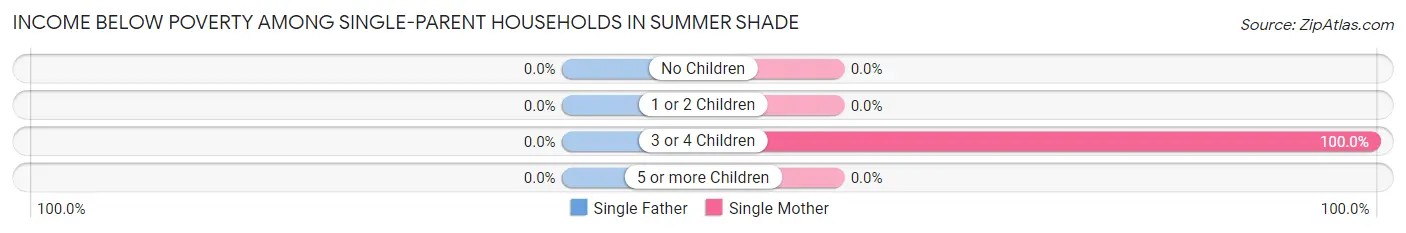 Income Below Poverty Among Single-Parent Households in Summer Shade