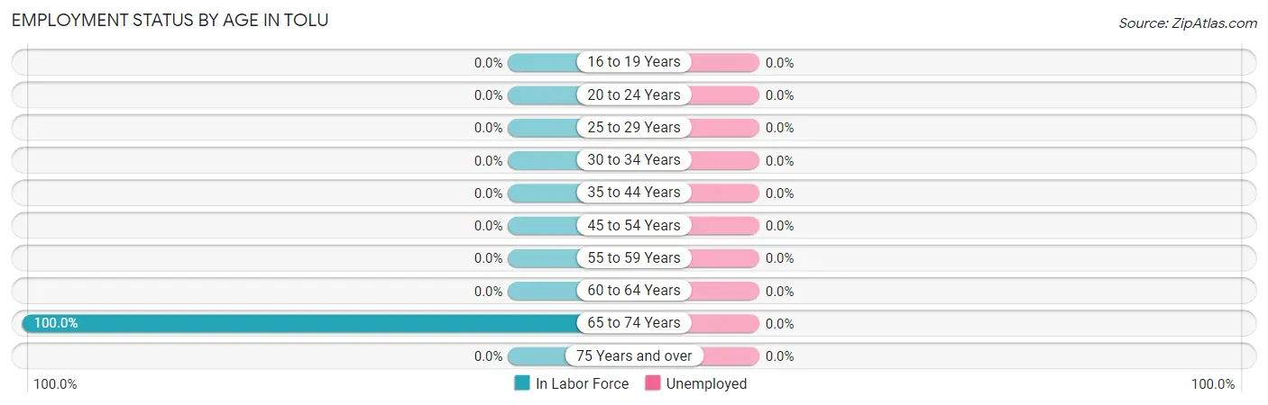 Employment Status by Age in Tolu