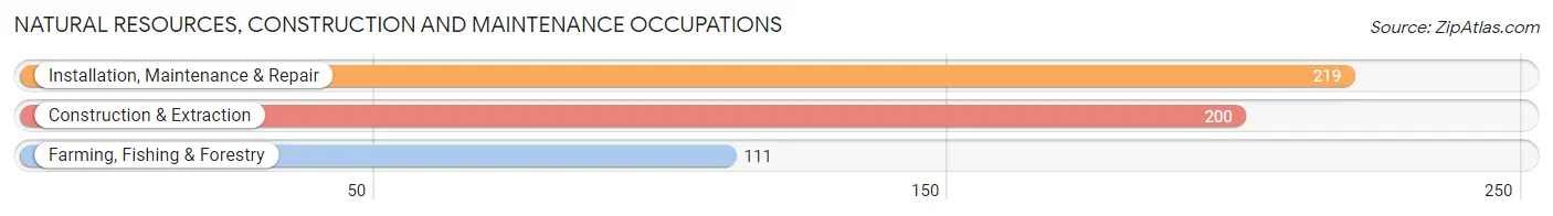 Natural Resources, Construction and Maintenance Occupations in Versailles