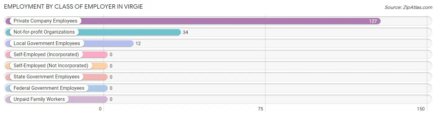 Employment by Class of Employer in Virgie