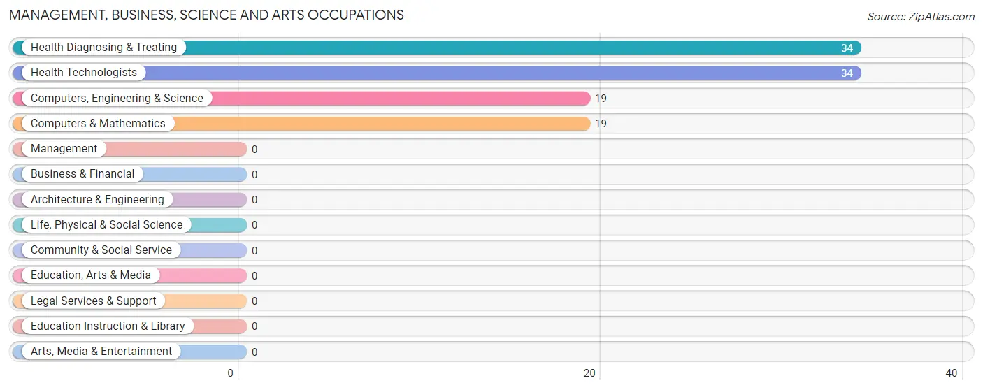 Management, Business, Science and Arts Occupations in Virgie