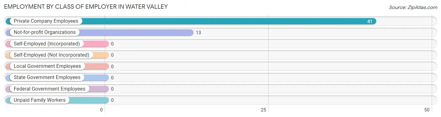 Employment by Class of Employer in Water Valley