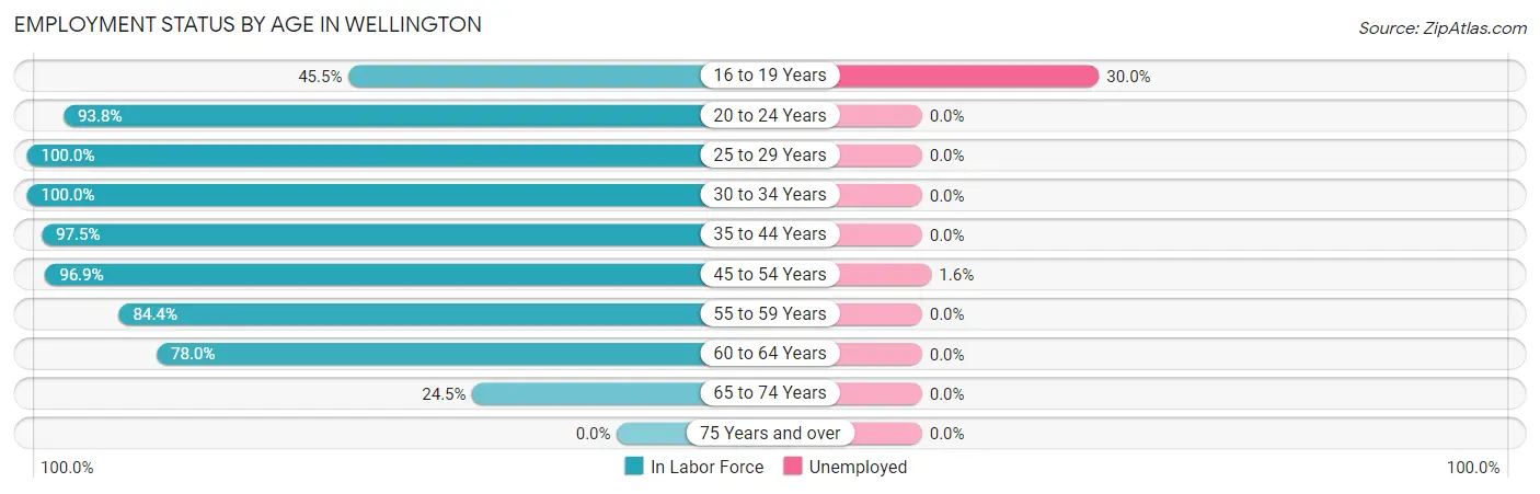 Employment Status by Age in Wellington