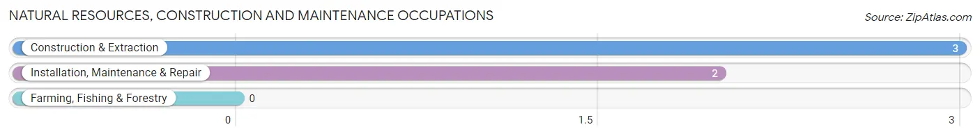 Natural Resources, Construction and Maintenance Occupations in Wheelwright