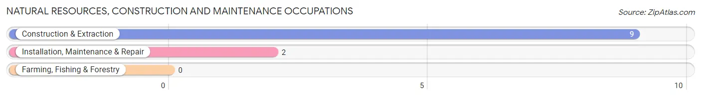 Natural Resources, Construction and Maintenance Occupations in Whitesville