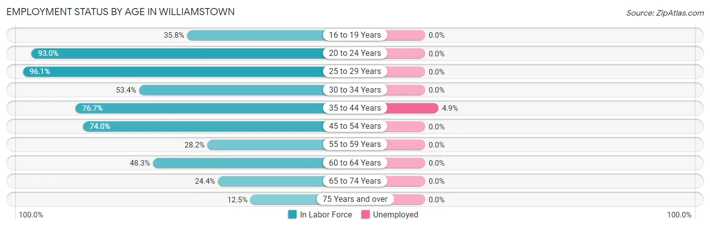 Employment Status by Age in Williamstown