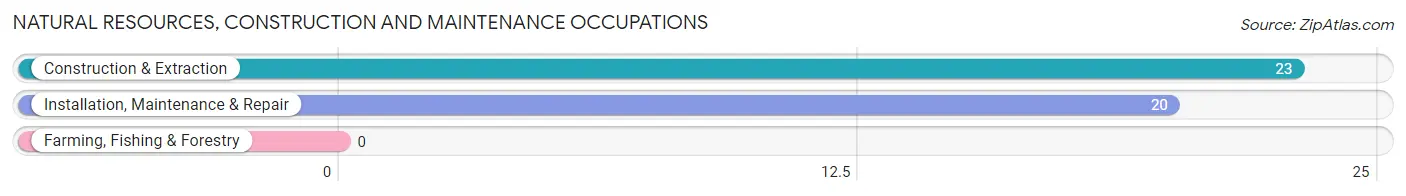 Natural Resources, Construction and Maintenance Occupations in Wingo