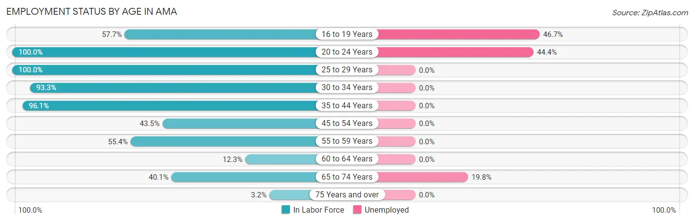 Employment Status by Age in Ama