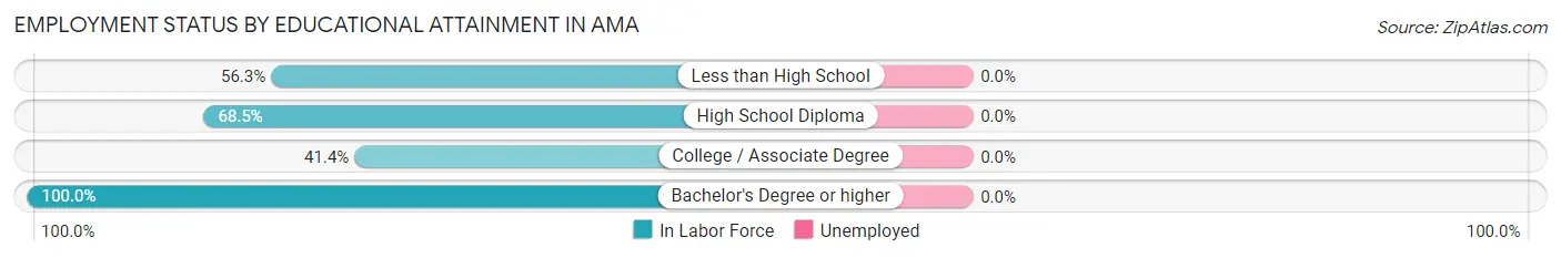 Employment Status by Educational Attainment in Ama