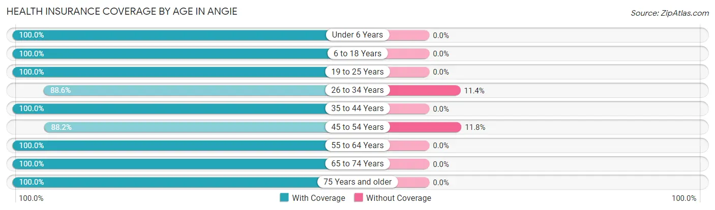 Health Insurance Coverage by Age in Angie