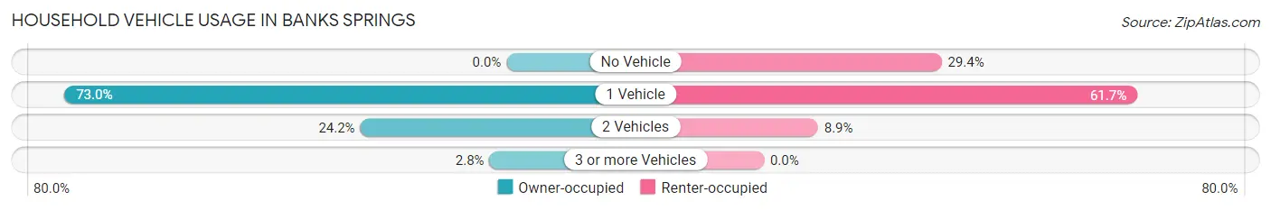 Household Vehicle Usage in Banks Springs