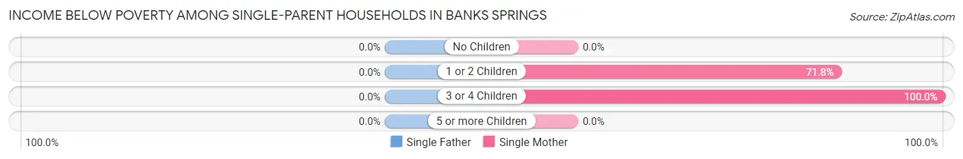 Income Below Poverty Among Single-Parent Households in Banks Springs