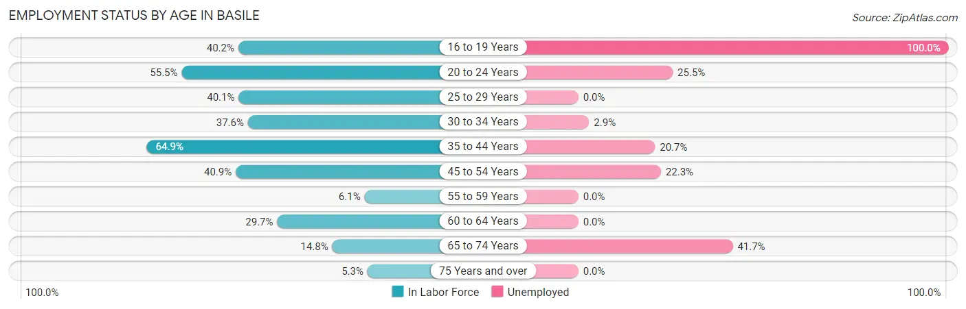 Employment Status by Age in Basile