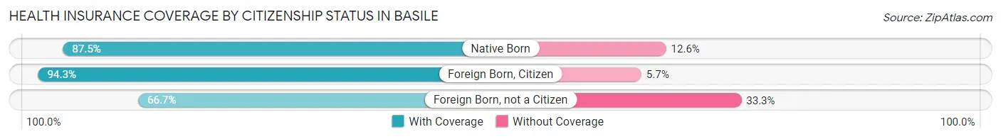 Health Insurance Coverage by Citizenship Status in Basile