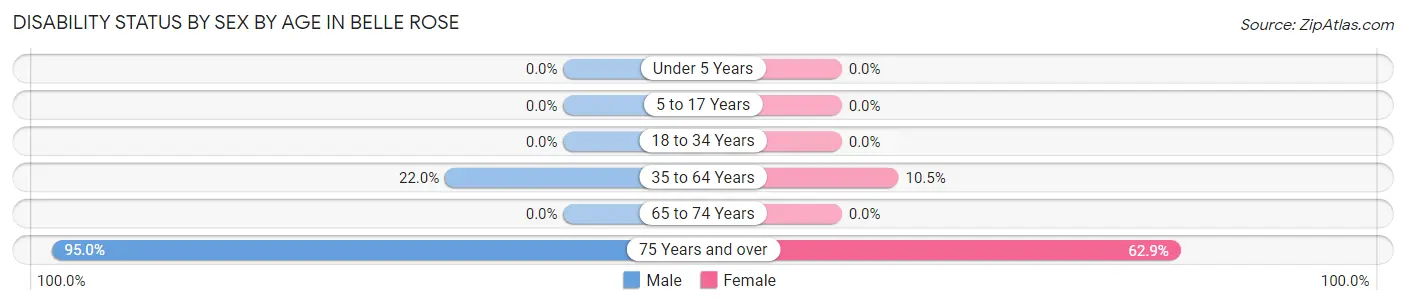 Disability Status by Sex by Age in Belle Rose