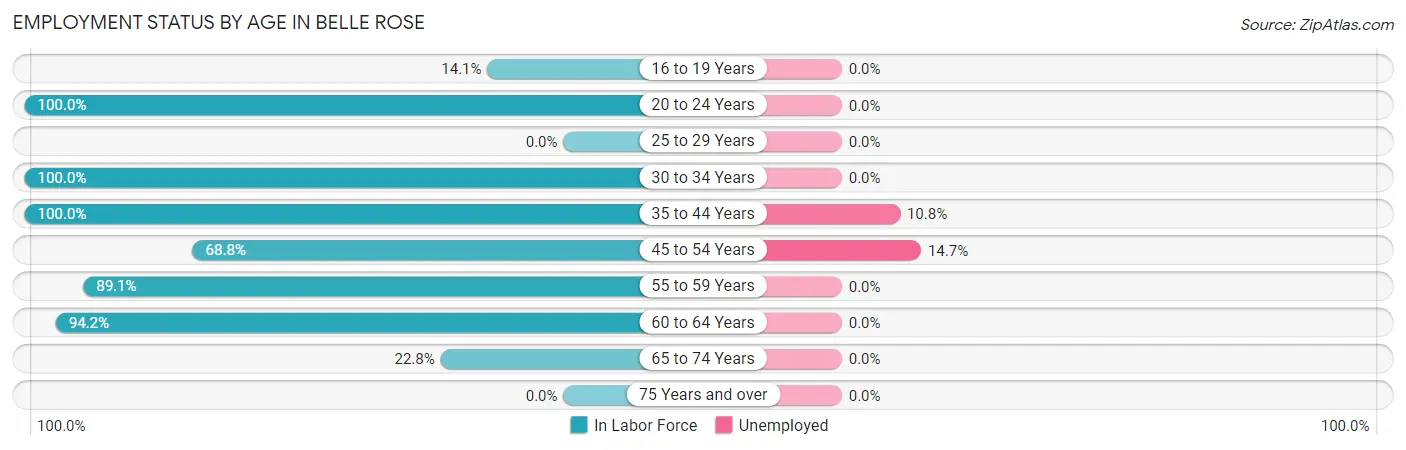 Employment Status by Age in Belle Rose