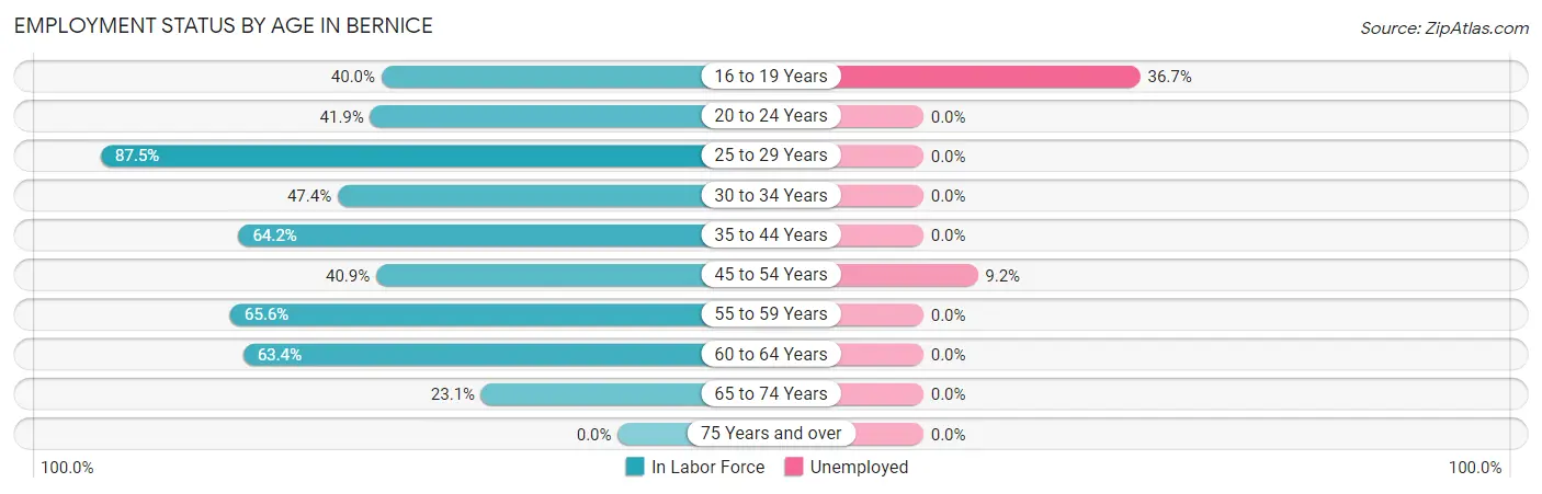 Employment Status by Age in Bernice