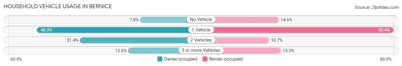 Household Vehicle Usage in Bernice