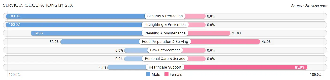 Services Occupations by Sex in Bernice