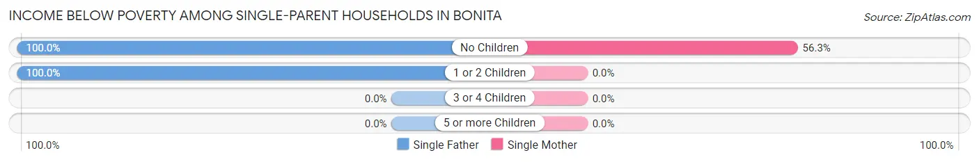 Income Below Poverty Among Single-Parent Households in Bonita