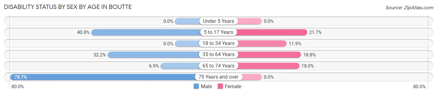 Disability Status by Sex by Age in Boutte
