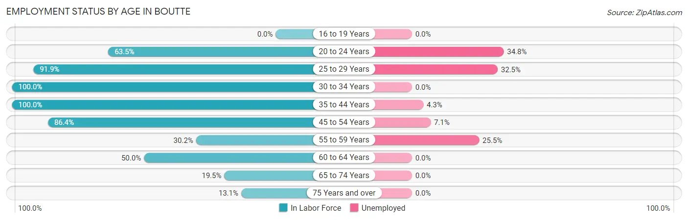 Employment Status by Age in Boutte