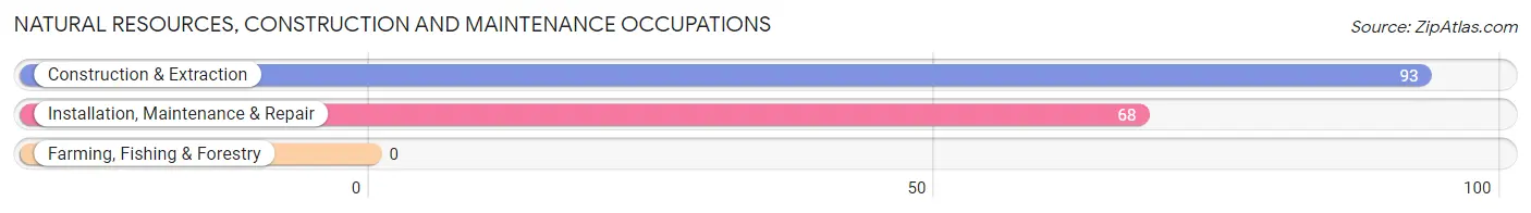 Natural Resources, Construction and Maintenance Occupations in Boutte