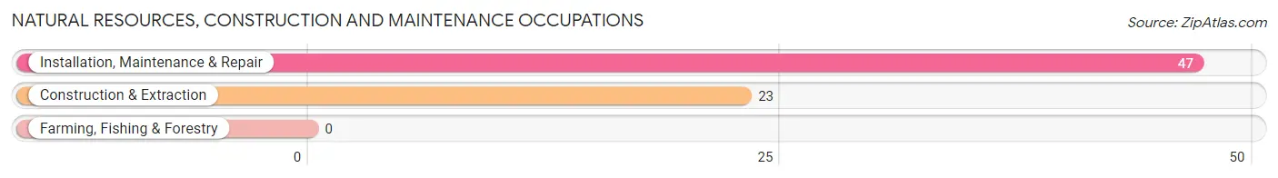 Natural Resources, Construction and Maintenance Occupations in Boyce