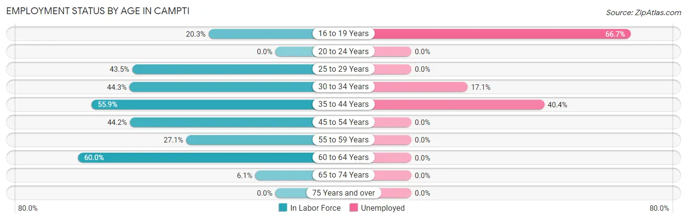 Employment Status by Age in Campti