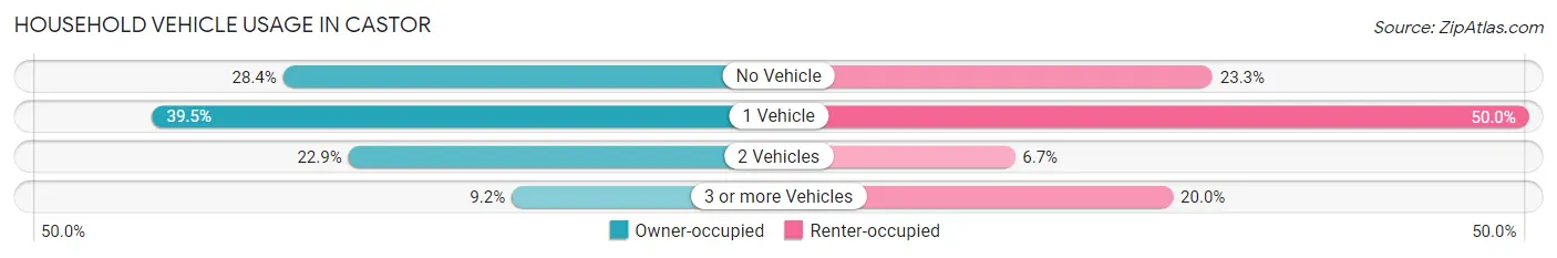 Household Vehicle Usage in Castor