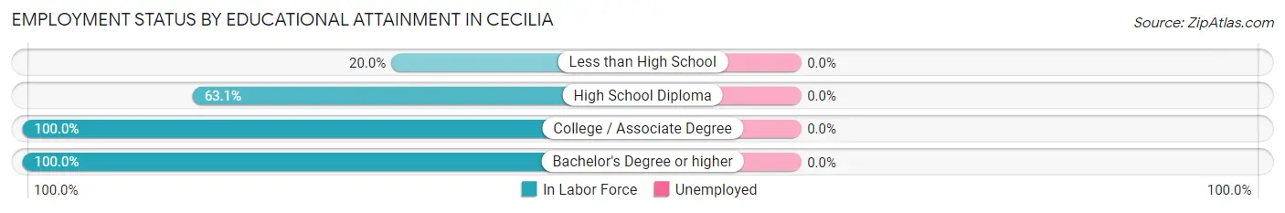 Employment Status by Educational Attainment in Cecilia