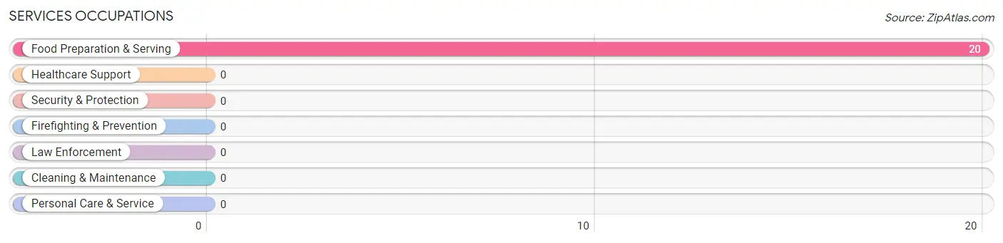 Services Occupations in Center Point