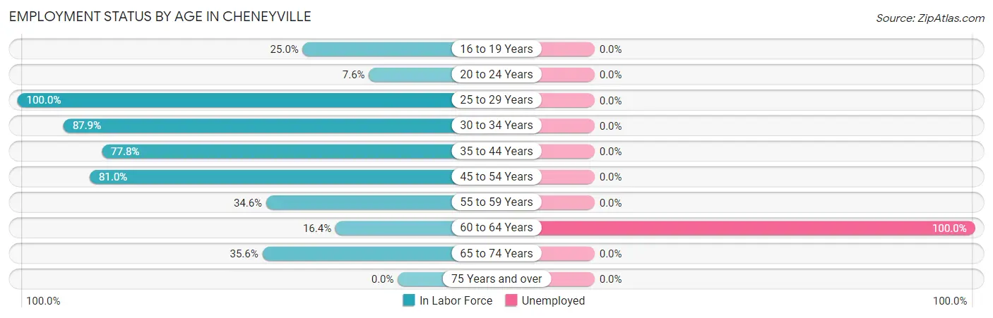 Employment Status by Age in Cheneyville