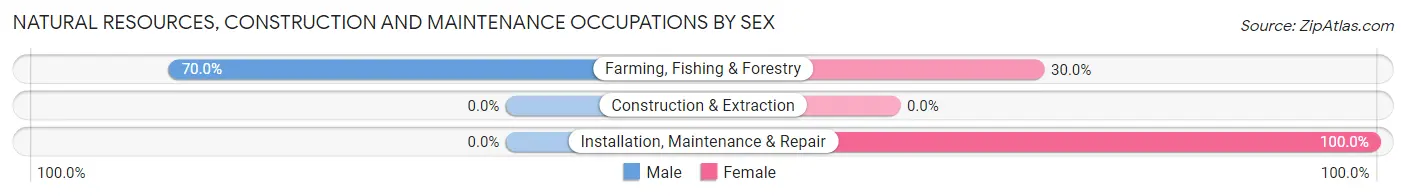 Natural Resources, Construction and Maintenance Occupations by Sex in Cheneyville
