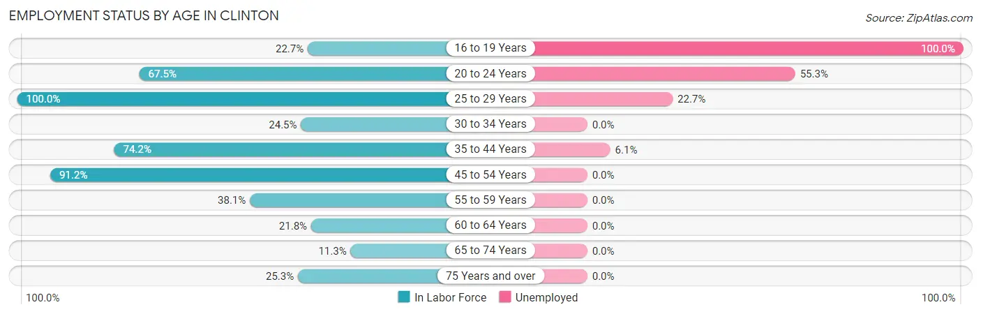 Employment Status by Age in Clinton