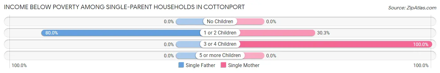 Income Below Poverty Among Single-Parent Households in Cottonport
