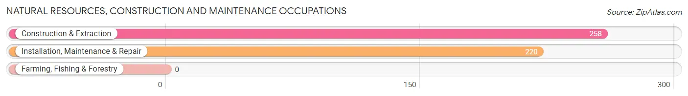 Natural Resources, Construction and Maintenance Occupations in Covington