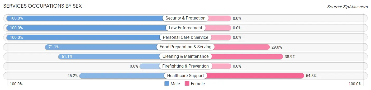 Services Occupations by Sex in Delhi