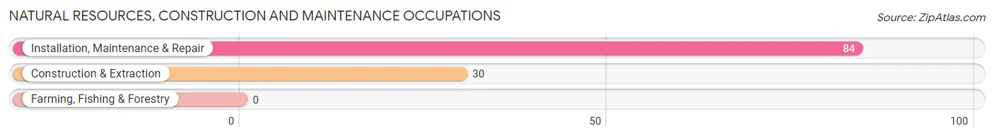 Natural Resources, Construction and Maintenance Occupations in Deville