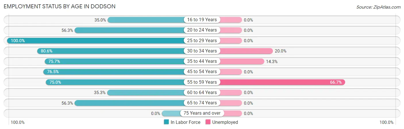 Employment Status by Age in Dodson