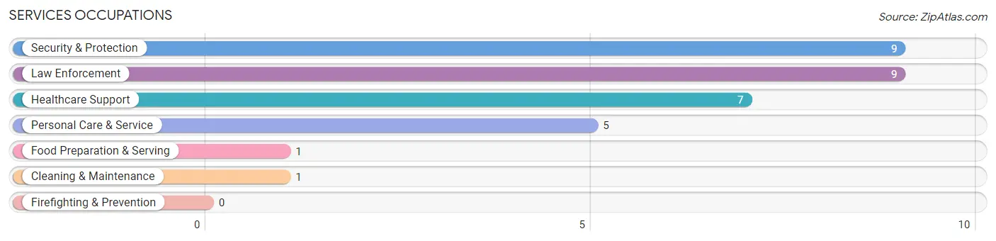 Services Occupations in Dodson