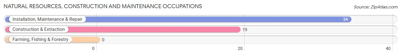 Natural Resources, Construction and Maintenance Occupations in Dubach