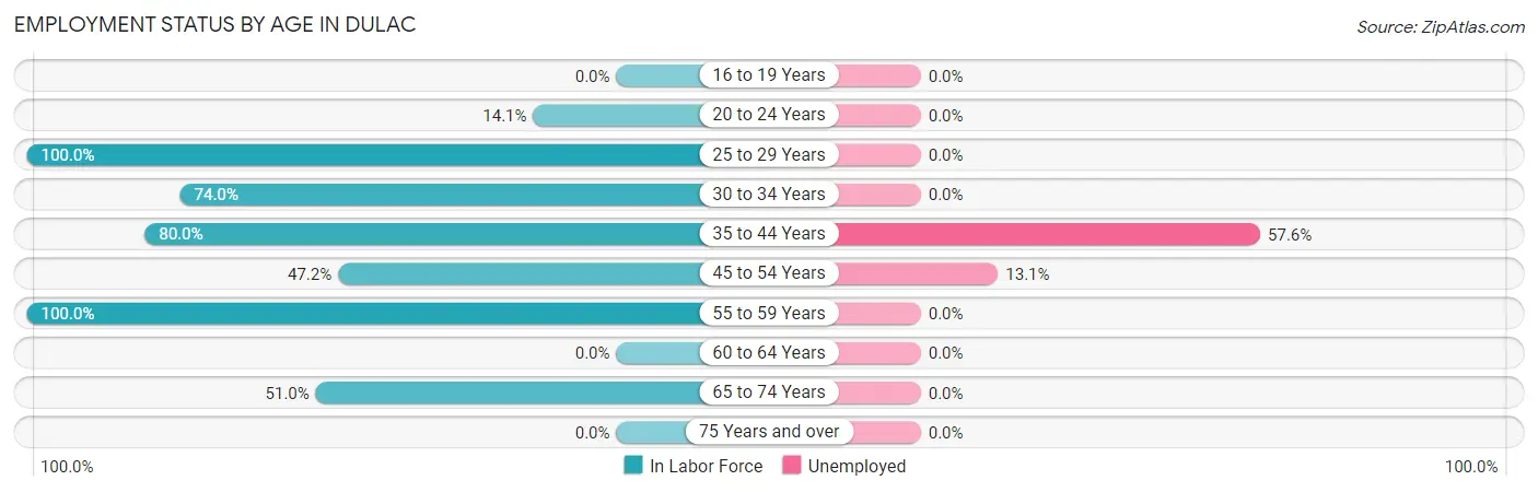 Employment Status by Age in Dulac